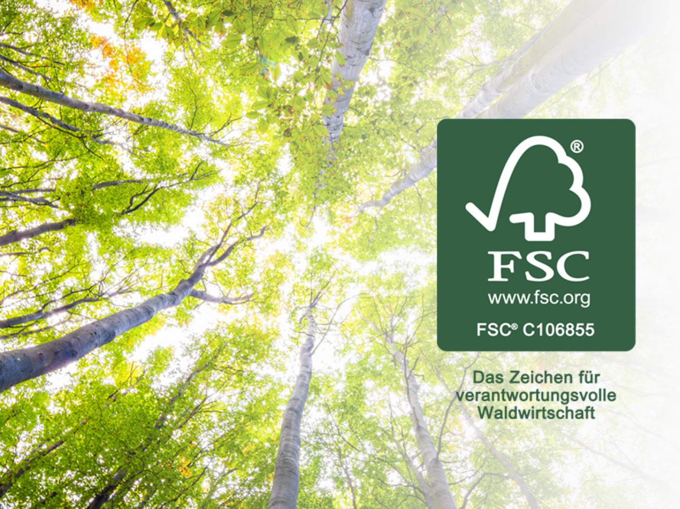 FSC-zertifizierter Wald